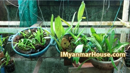 The Interview with Ma Myat Kay Thi Aung About Her Home Structure and Decorations (Part -2) - Celebrity Interview on Property from iMyanmarHouse.com