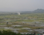ေျမကြက္ အျမန္ ေရာင္းမည္