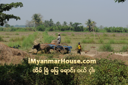 ေျမသိမ္းမႈမ်ား ေျဖရွင္းရန္ ခက္ခဲေန - Property News in Myanmar from iMyanmarHouse.com