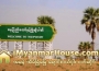 ေျမကြက္ အျမန္ ေရာင္းမည္