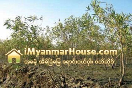 မုတၱမကမ္း႐ိုးတန္းရွိ ဒီေရေတာဧကသံုးေထာင္ကို ႀကိဳးျပင္ကာကြယ္ေတာ သတ္မွတ္မည္ - Property News in Myanmar from iMyanmarHouse.com