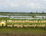 ေျမကြက္ အျမန္ ေရာင္းမည္