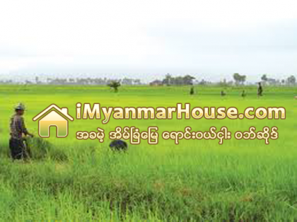ျပင္ဦးလြင္ အိမ္ၿခံေျမေစ်းကြက္တြင္ က်ပ္သိန္းတစ္ေထာင္ေအာက္ ေျမကြက္မ်ားႏွင့္ လယ္ယာေျမမ်ား အေရာင္းအဝယ္သြက္ - Property News in Myanmar from iMyanmarHouse.com