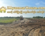 ေျမကြက္ အျမန္ ေရာင္းမည္