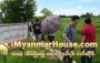 ေျမကြက္ အျမန္ ေရာင္းမည္