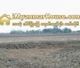 ေျမကြက္ အျမန္ ေရာင္းမည္