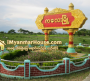 ေျမကြက္ အျမန္ ေရာင္းမည္