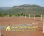 ေျမကြက္ အျမန္ ေရာင္းမည္