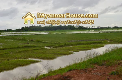 ေျမေဈးက်မည္ဟု ေကာလာဟလလႊင့္၍ လယ္ေျမမ်ား လိုက္ဝယ္ေနဟုဆို - Property News in Myanmar from iMyanmarHouse.com