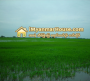ေျမကြက္ အျမန္ ေရာင္းမည္