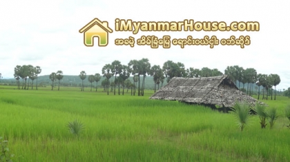 3B / ၃ (ခ) ေျမ - Property Knowledge in Myanmar from iMyanmarHouse.com