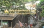 ေျမကြက္ အျမန္ ေရာင္းမည္