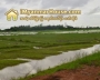 ေျမကြက္ အျမန္ ေရာင္းမည္