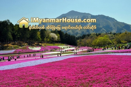 ဂ်ပန္ႏုိင္ငံက ဟီတာခ်ီ ေရာင္စံုပန္းခ်ီကားတစ္ခ်ပ္ႏွယ္ ပန္းဥယ်ာဥ္ - Property News in Myanmar from iMyanmarHouse.com