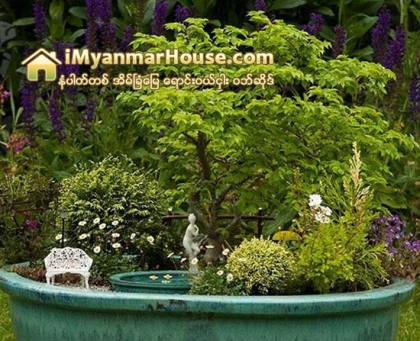 ဘြန္ဆိုင္းပင္နဲ႔ ပန္းျခံအေသးစားေလးေတြ - Property News in Myanmar from iMyanmarHouse.com
