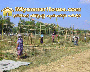 ေျမကြက္ အျမန္ ေရာင္းမည္