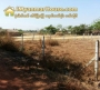 ေျမကြက္ အျမန္ ေရာင္းမည္
