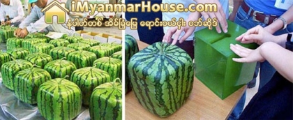 ဂ်ပန္ႏုိင္ငံသုိ႔သြားမယ့္ ခရီးသြားေတြမသိမျဖစ္သိထားရမယ့္ ဂ်ပန္ႏုိင္ငံရဲ႕ထူးျခားအ့ံၾသ ဖြယ္ရာမ်ား အပုိင္း(၂) - Property News in Myanmar from iMyanmarHouse.com