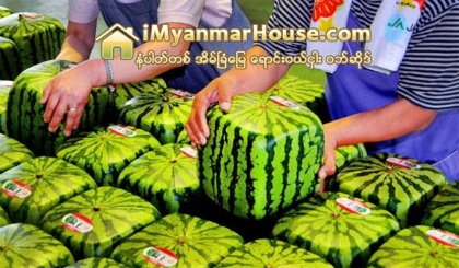ဂ်ပန္ႏုိင္ငံသုိ႔သြားမယ့္ ခရီးသြားေတြမသိမျဖစ္သိထားရမယ့္ ဂ်ပန္ႏုိင္ငံရဲ႕ထူးျခားအ့ံၾသ ဖြယ္ရာမ်ား အပုိင္း(၂) - Property News in Myanmar from iMyanmarHouse.com