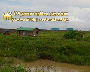 ေျမကြက္ အျမန္ ေရာင္းမည္
