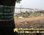 ေျမကြက္ အျမန္ ေရာင္းမည္