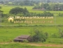ေျမကြက္ အျမန္ ေရာင္းမည္