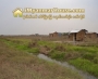 ေျမကြက္ အျမန္ ေရာင္းမည္
