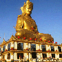 ေျမကြက္ အျမန္ ေရာင္းမည္