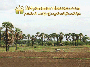 ေျမကြက္ အျမန္ ေရာင္းမည္