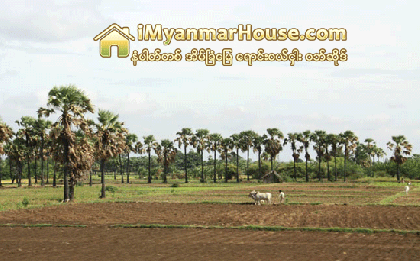 ၾကည့္ျမင္တိုင္ တစ္ဖက္ကမ္းရွိ လယ္ေျမမ်ား တစ္ဧကလွ်င္ က်ပ္သိန္းတစ္ရာ၀န္းက်င္ျဖင့္ အေရာင္းအ၀ယ္ျဖစ္ - Property News in Myanmar from iMyanmarHouse.com