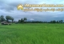 ေျမကြက္ အျမန္ ေရာင္းမည္