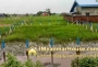 ေျမကြက္ အျမန္ ေရာင္းမည္
