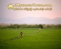 ေျမကြက္ အျမန္ ေရာင္းမည္