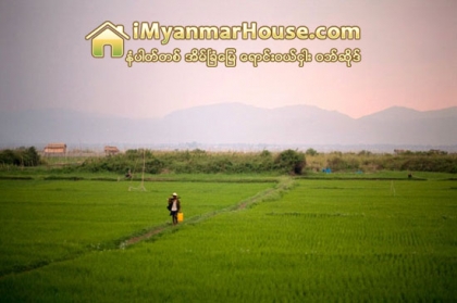 လယ္ယာေျမဥပေဒအရ ဘဏ္မ်ားတြင္ လယ္ယာေျမ ေပါင္ႏွံႏုိင္ေသာ္လည္း လက္ရွိတြင္ ဘဏ္မ်ားကလယ္ယာေျမအေပါင္ခံမႈ လုပ္ေဆာင္လိုျခင္းမရွိဟုဆို - Property News in Myanmar from iMyanmarHouse.com