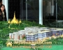 ေျမကြက္ အျမန္ ေရာင္းမည္