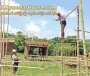 ေျမကြက္ အျမန္ ေရာင္းမည္