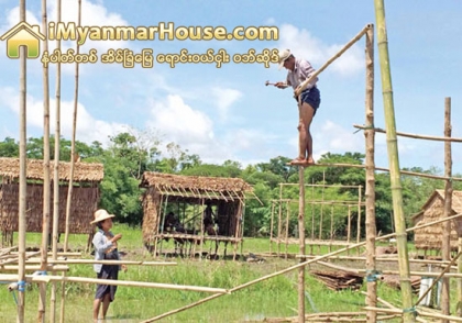 က်ဴးေက်ာ္ေနထိုင္သူမ်ားအတြက္ မအူပင္၌ ေက်းရြာတည္ေထာင္ - Property News in Myanmar from iMyanmarHouse.com