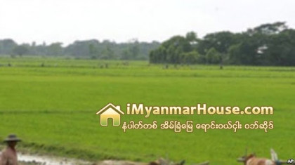ျပင္ဦးလြင္ေျမဂယက္ မႏၱေလး၀န္းက်င္က လယ္ယာေျမေစ်းကြက္ကိုပါ ရိုက္ခတ္ - Property News in Myanmar from iMyanmarHouse.com