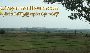 ေျမကြက္ အျမန္ ေရာင္းမည္