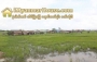 ေျမကြက္ အျမန္ ေရာင္းမည္