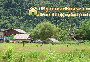 ေျမကြက္ အျမန္ ေရာင္းမည္