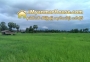 ေျမကြက္ အျမန္ ေရာင္းမည္