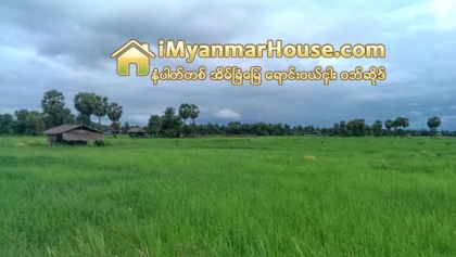 ဘိုးဘြားပိုင္ေျမမ်ားကို အေရာင္းအ၀ယ္ျပဳလုပ္ရာတြင္ ခိုင္မာမႈရွိမရွိ စိစစ္ရန္ လိုအပ္ - Property News in Myanmar from iMyanmarHouse.com