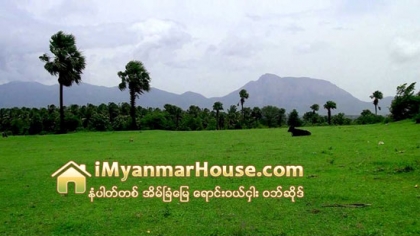 တနသၤာရီတုိင္းအတြင္း ဂရန္မရွိေသးသည့္ ေက်းရြာအခ်ိဳ႕တြင္ ေျမငွားဂရန္မ်ား ကြင္းဆင္းျပဳလုပ္ေပးမည္ - Property News in Myanmar from iMyanmarHouse.com