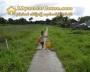 ေျမကြက္ အျမန္ ေရာင္းမည္
