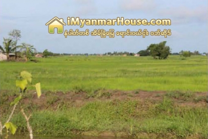 ရန္ကုန္ၿမိဳ႕သစ္စီမံကိန္း၊ျပန္လည္အေကာင္အထည္ေဖာ္ရန္ တင္ဒါေခၚယူေနေသာ္လည္းေျမေဈးမ်ားက်ေန - Property News in Myanmar from iMyanmarHouse.com