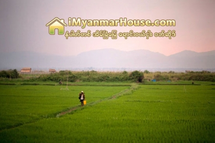 လယ္ေျမမ်ားကို လယ္ပုိင္ရွင္ဆိုသူမ်ားက အက်ယ္အဝန္းတစ္ခုသတ္မွတ္ကာ လူေနေျမကြက္မ်ားအျဖစ္ အကြက္႐ိုက္ ေရာင္းခ်လ်က္ရွိျခင္းသည္ ပိုင္ဆိုင္မႈမခိုင္မာဘဲ လူမႈေရးျပႆနာမ်ား ႐ႈပ္ေထြးလာေစႏိ - Property News in Myanmar from iMyanmarHouse.com