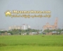 ေျမကြက္ အျမန္ ေရာင္းမည္