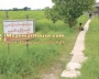 ေျမကြက္ အျမန္ ေရာင္းမည္