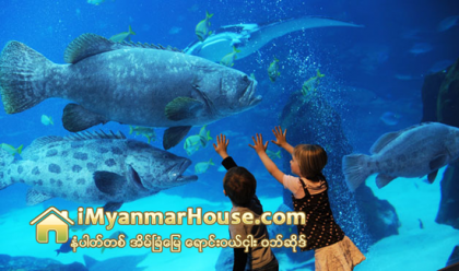 ဟိုတယ္အတြင္းမွာ တည္ေဆာက္ထားတဲ့ ငါးျပတုိက္ - Property News in Myanmar from iMyanmarHouse.com